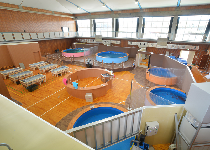旧中吉川小学校利活用事業